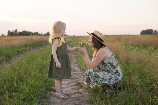 Mom and daughter walk through a chamomile field, and collect a bouquet of flowers. The concept of family relations, nature walks, freedom and a healthy lifestyle.