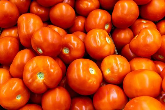 Close up of many fresh red tomatoes big fruit type.