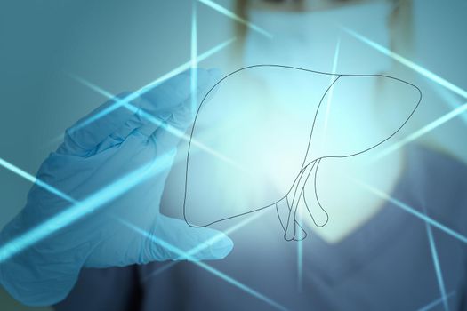 Female doctor touches virtual Liver in hand. Blurred photo, handrawn human organ, highlighted red as symbol of disease. Healthcare hospital service concept stock photo