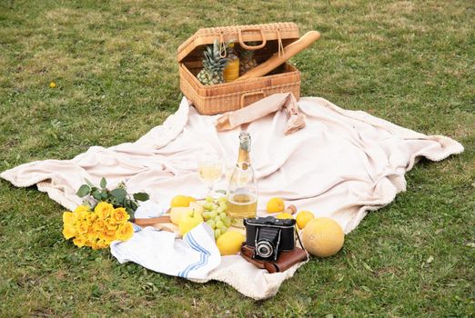 picnic blanket on a green lawn and a basket of fruit, cheese on a plate, High Quality Photo