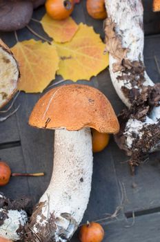 fresh boletus are scattered on the table, the autumn harvest of forest edible mushrooms for harvesting for the winter in reserve. High quality photo