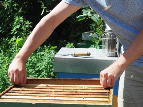 Beekeeper working with bees and beehives on the apiary. Beekeeping concept. Beekeeper harvesting honey Beekeeper on apiary.