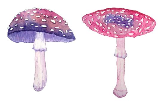 Watercolor hand drawn illustration of poisonous forest wood amanita mushrooms. Purple pink dark halloween witch clipart in mystic magic boho style