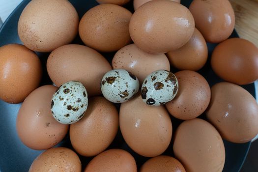 Fresh homemade chicken eggs lie on a server plate. High quality photo