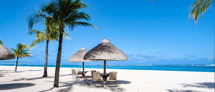 Tropical beach with palm trees and white sand blue ocean and beach beds with umbrellas, sun chairs, and parasols under a palm tree at a tropical beach. Mauritius Le Morne beach
