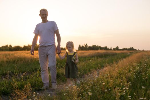 Dad and his blonde daughter are walking and having fun in a chamomile field. The concept of Father's Day, family and nature walks.