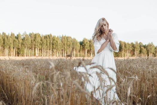 A blonde woman in a long white dress walks in a wheat field. The concept of a wedding and walking in nature.