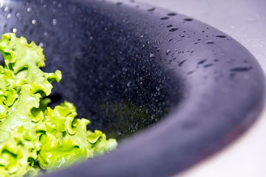 Green salad with drops of water in a black sink for the preparation of delicious dietary and vegatarian dishes.