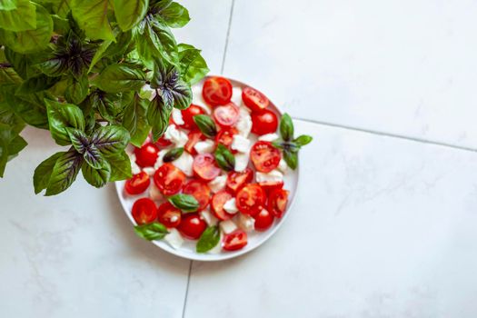 home garden basil plant over a portion af a caprese salad, top view, selective focus, copyspace