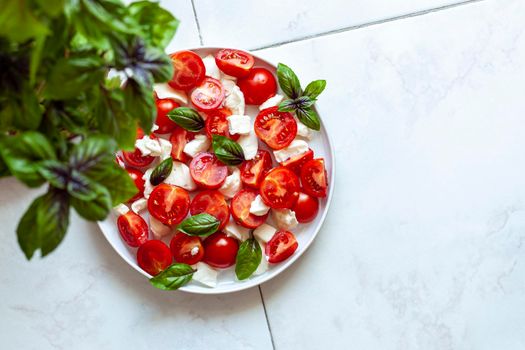 caprese salad served in a plate under a basil plant, home garden concept, top view