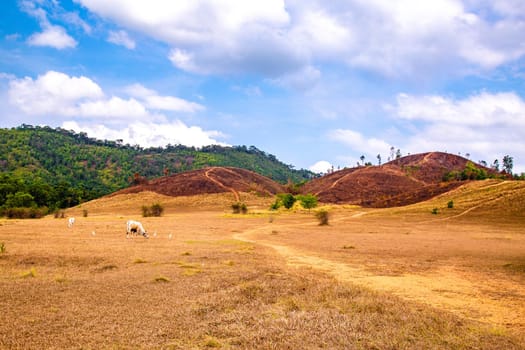 Phu Khao Ya, also called bald hills in Ranong, Thailand. High quality photo