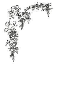 A floral border drawn in black ink on white paper. Leafs, ribbons and flowers