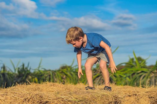 Boy blue t-shirt smile play climbs on down haystack bales of dry hay, clear sky sunny day. Outdoor kid children summer leisure activities. Concept happy childhood countryside, air close to nature.