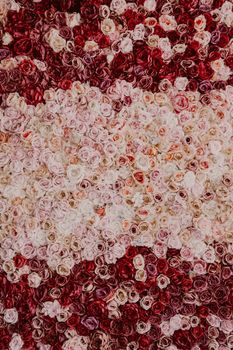 Amazing roses background. Million flowers in pink, red and white colors. Artificials, perfect for mock-up projects, design. High quality photo