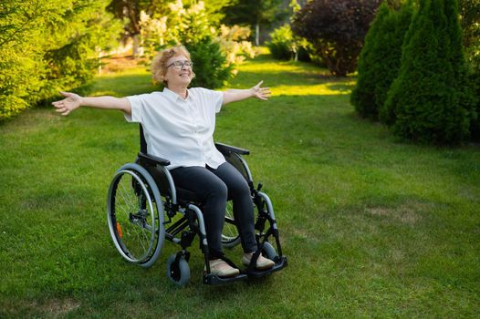 Happy old woman spread her arms to the sides while sitting in a wheelchair on a walk outdoors