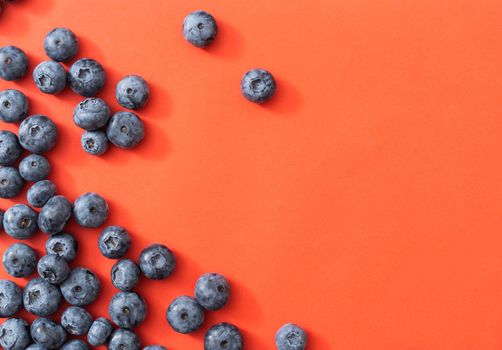 Large blueberries on a red background, close-up.