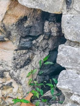 Texture and pattern of the ancient Tulum ruins Mayan site with temple ruins pyramids and artifacts in the tropical natural jungle forest palm and seascape panorama view in Tulum Mexico.