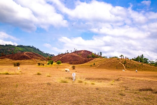 Phu Khao Ya, also called bald hills in Ranong, Thailand. High quality photo