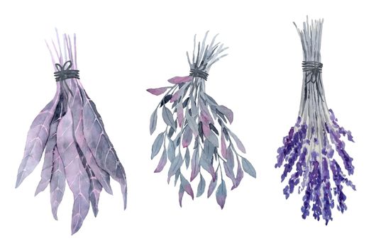 Watercolor hand drawn dried herbs, witch witchcraft plant harvest, flower leves for potion brew occult gothic illsutration. Purple Halloween decor