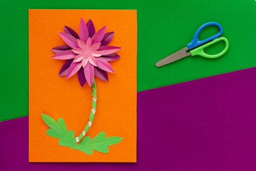 Top view of papercraft violet crysanthemum flower made by child on orange worksheet and scissors on violet and green background. Present for mother s day