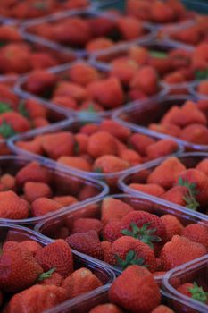 Strawberries in small plastic containers on a market stall