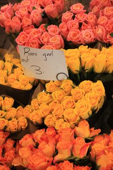 Roses in various colors at a market (text on tags: names and prices in Dutch)