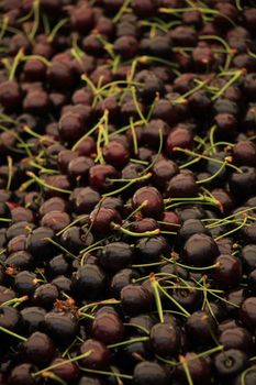 Fresh cherries for sale at a market