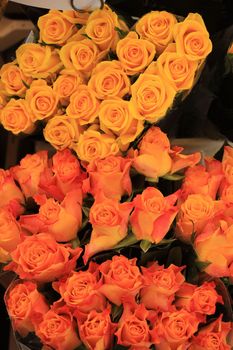 Roses in various colors at a market