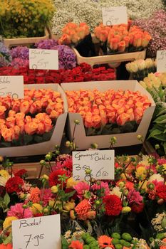 Flowers in various colors at a market (text on tags: names and prices in Dutch)