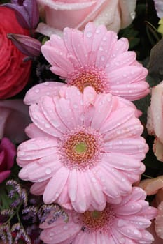 Big pink gerbers in a mixed floral arrangement