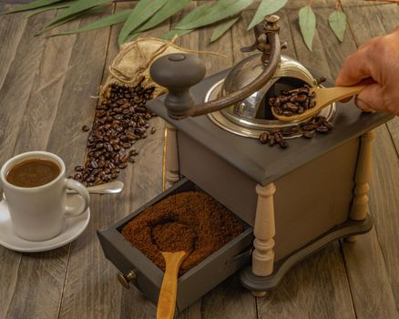 coffee beans and ground coffee with coffee grinder and flowers