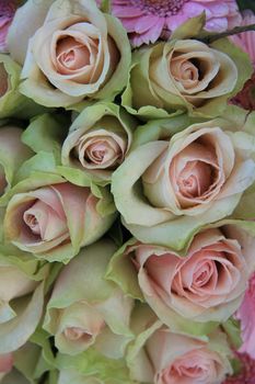 Pink roses in a mixed bridal bouquet