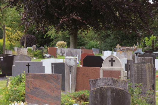 Tombstones on a cemetery in the Netherlands