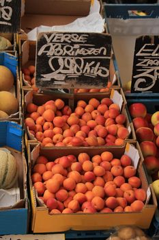 Fresh fruit on a market stalll (text on tags: names and prices of various fruits in Dutch,fresh apricots )