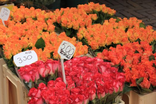 Roses in various colors at a market (text on tags: names and prices in Dutch)