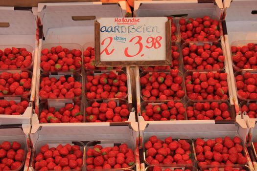 Strawberries in small containers on a market stall (text on tag: Dutch product informationL Strawberries, 2 boxes for € 3.98)