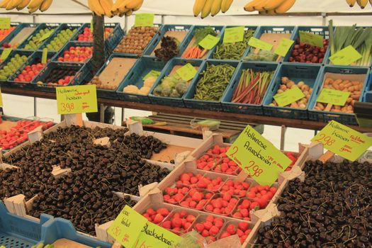 Fresh fruit on a market stalll (text on tags: names and prices of various fruits in Dutch,Dutch cherries and strawberries, Fennel and celery )