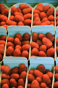 Strawberries in small boxes on a market stall