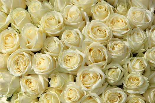 Big group of white roses as part of floral wedding decorations