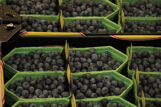 Blue berries in small boxes on a market stall