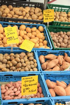 Fresh harvested potatoes on a market stall (text on tags: names and prices of various potatoes in Dutch, prices for various weight packages, all new harvest)