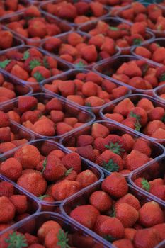 Strawberries in small plastic containers on a market stall