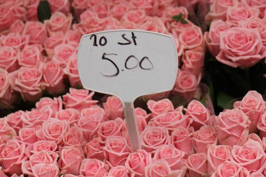 Big pink roses at a market (text on tags: names and prices in Dutch)