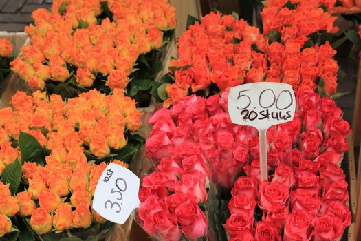 Roses in various colors at a market (text on tags: names and prices in Dutch)