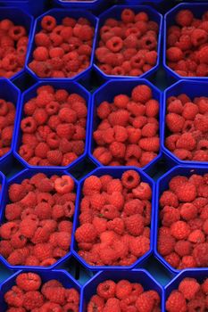 Raspberries in small boxes on a market stall