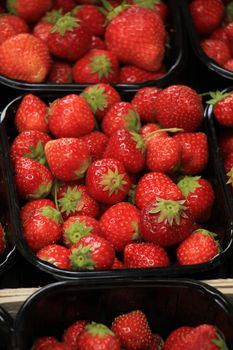 Strawberries in small containers on a market stall