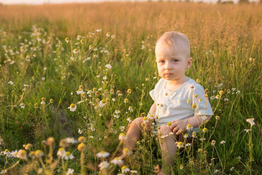 A little blond boy is sitting in the grass in a chamomile field. The concept of walking in nature, freedom and an environmentally friendly lifestyle.