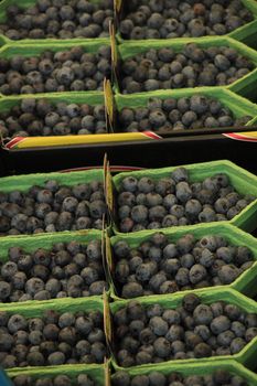 Blue berries in small boxes on a market stall