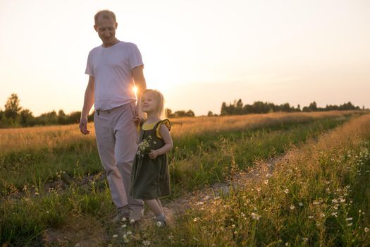 Dad and his blonde daughter are walking and having fun in a chamomile field. The concept of Father's Day, family and nature walks.