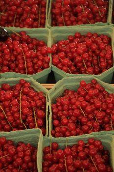 red currants in small boxes on a market stall